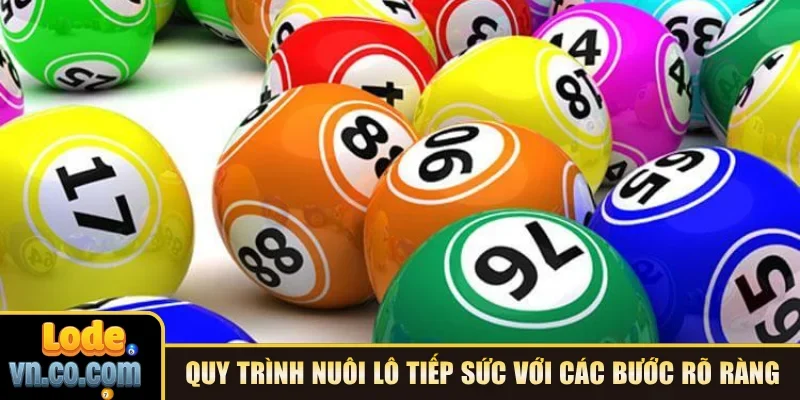 Quy trình nuôi lô tiếp sức với các bước rõ ràng